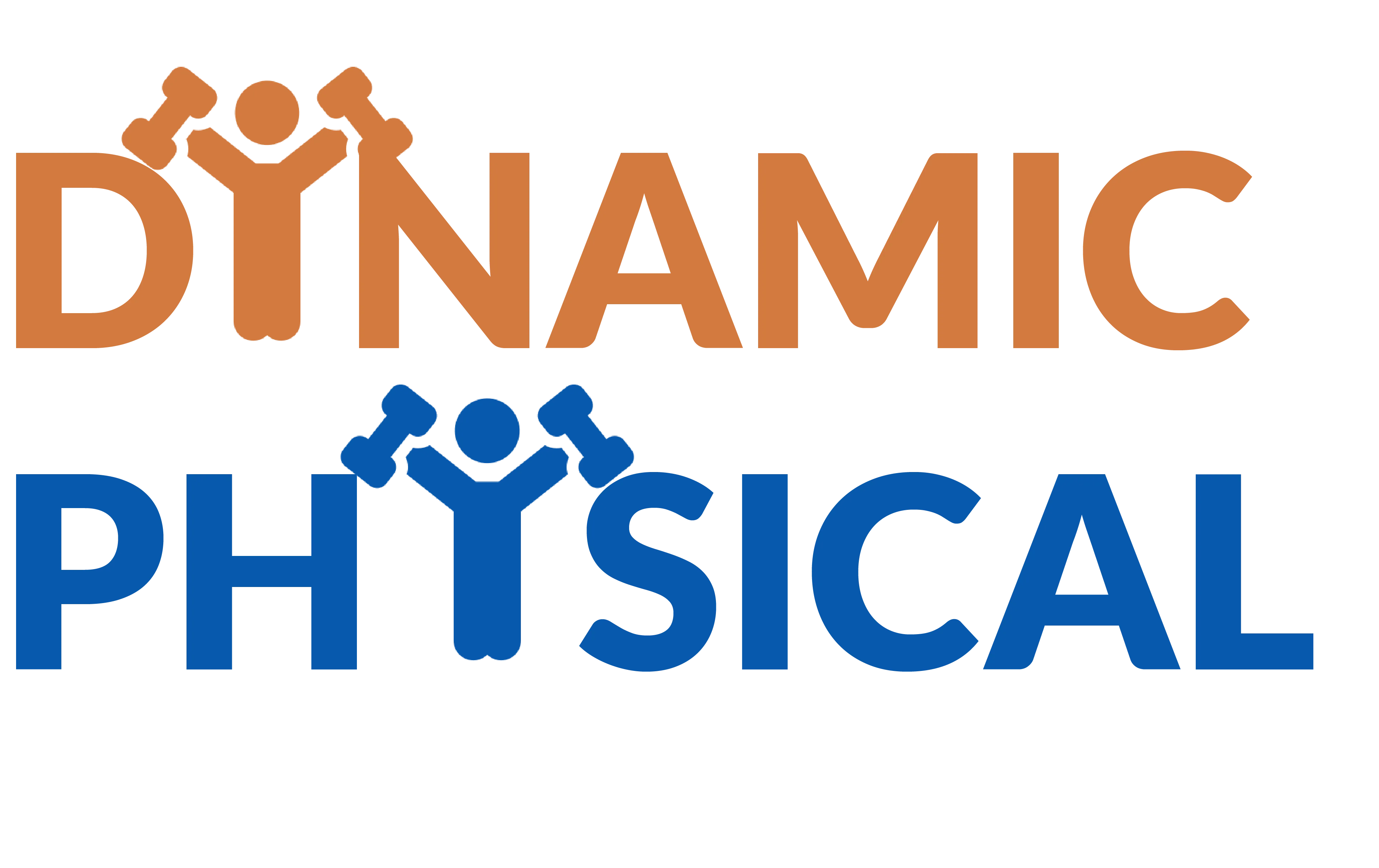 Dynamic Fizioterapija logo